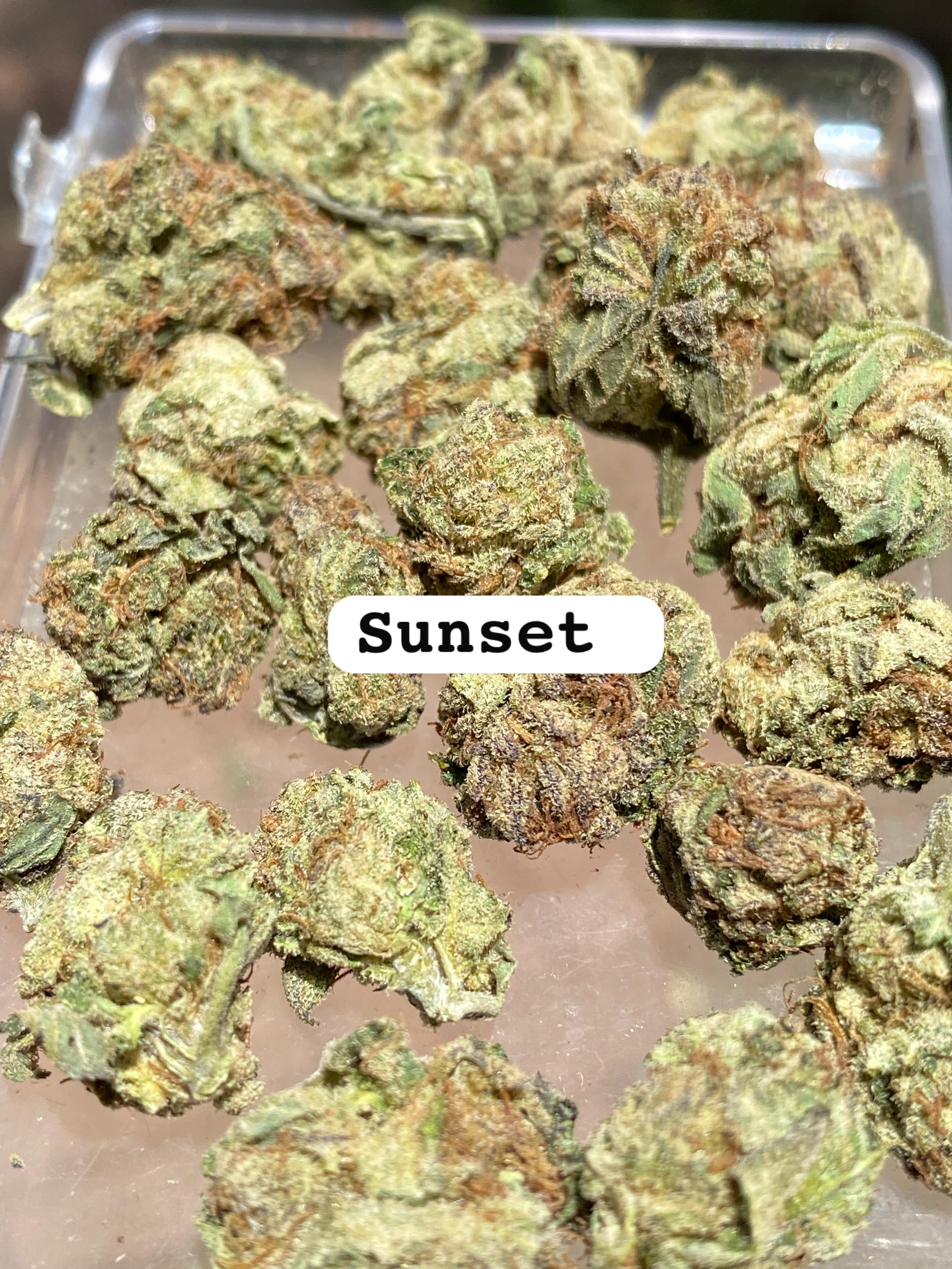 SUNSET STRAIN